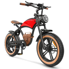 Hidoes B10 Full Suspension Electric Bike