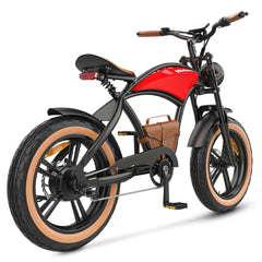 Hidoes B10 Full Suspension Electric Bike