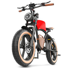 Hidoes B10 Full Suspension Electric Bike