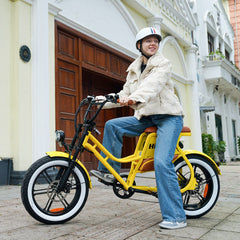 Hidoes C8 Fat Tire Step Through Electric Bike