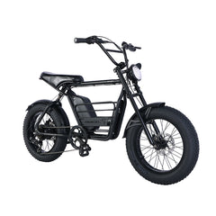 Tracer Verge 20"X4.0 Wheel 800W Motor Electric Fat Bike