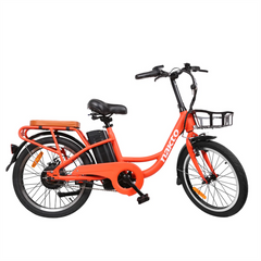 NAKTO City Cargo Ebike 20" Pony